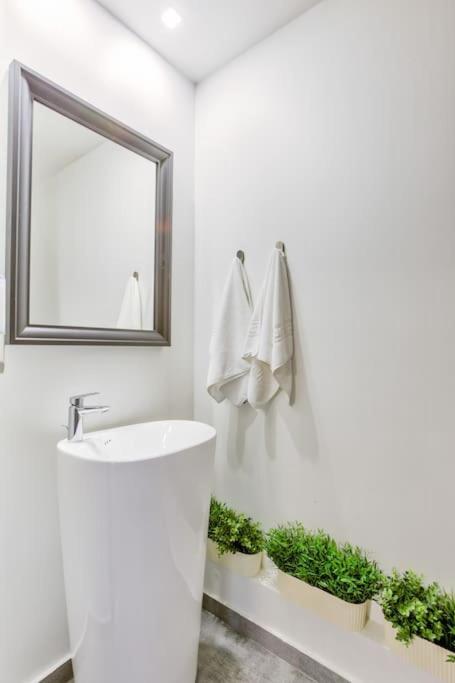 Splendor 3 Bedroom Flat In Silver Mountain โปยานาบราซอฟ ภายนอก รูปภาพ