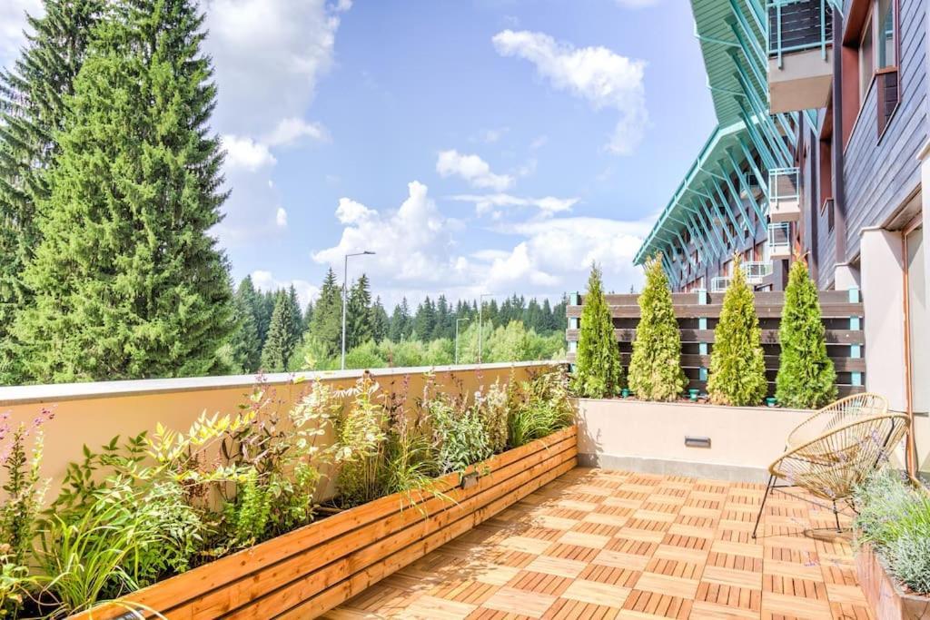 Splendor 3 Bedroom Flat In Silver Mountain โปยานาบราซอฟ ภายนอก รูปภาพ