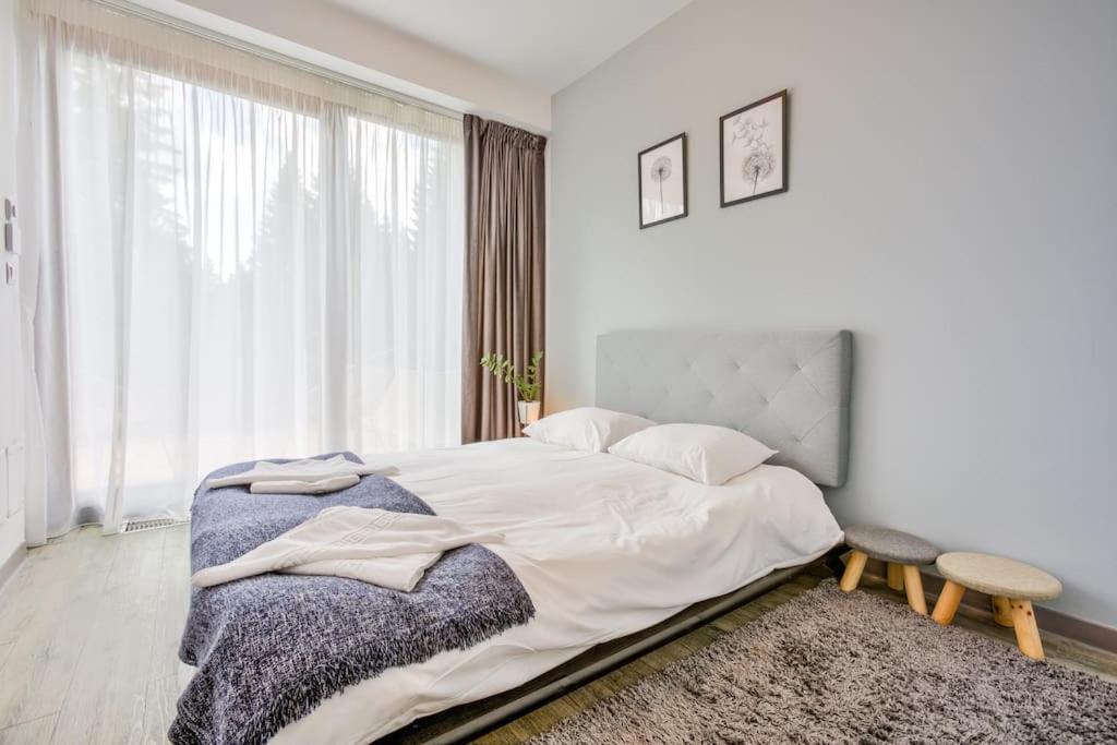 Splendor 3 Bedroom Flat In Silver Mountain โปยานาบราซอฟ ภายนอก รูปภาพ